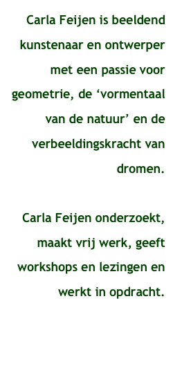 Carla Feijen is beeldend kunstenaar en ontwerper met een passie voor geometrie, de ‘vormentaal van de natuur’ en de verbeeldingskracht van dromen. 

Carla Feijen onderzoekt, maakt vrij werk, geeft workshops en lezingen en werkt in opdracht.
