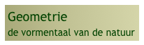 Geometrie
de vormentaal van de natuur